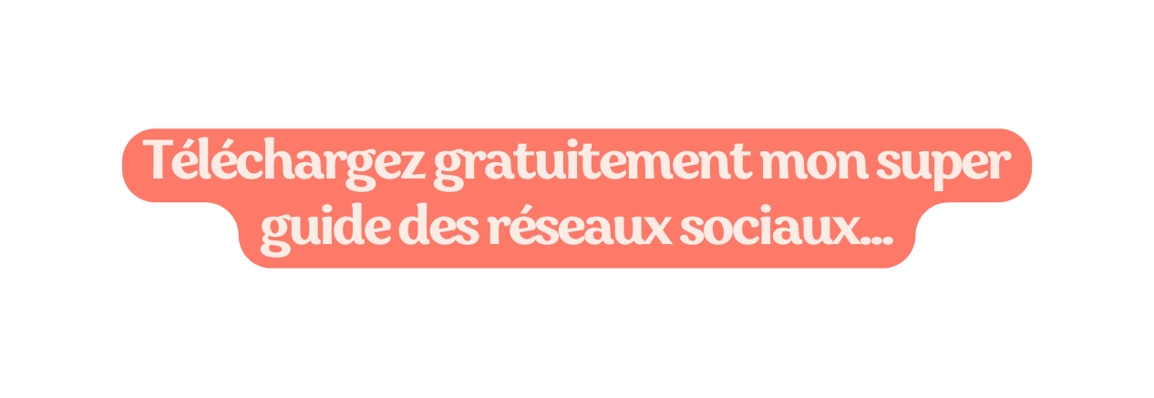 Téléchargez gratuitement mon super guide des réseaux sociaux
